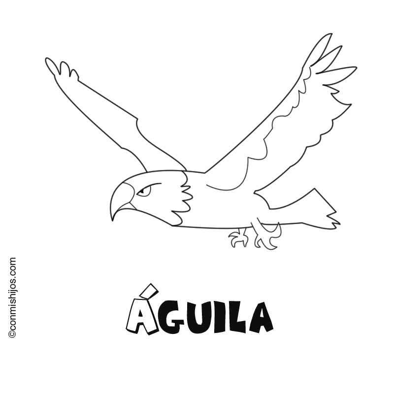 Gimnasia Geometría Monótono dibujo de aguila Notable diseño Guiño