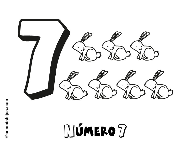 Número 7