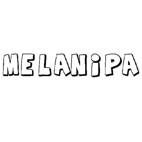 MELANIPA