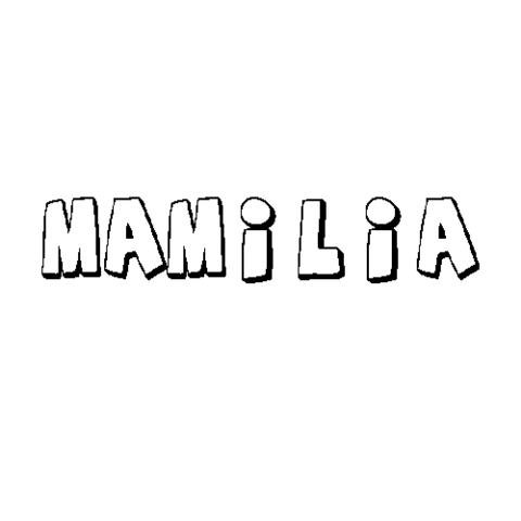 MAMILIA