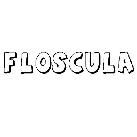 FLÓSCULA