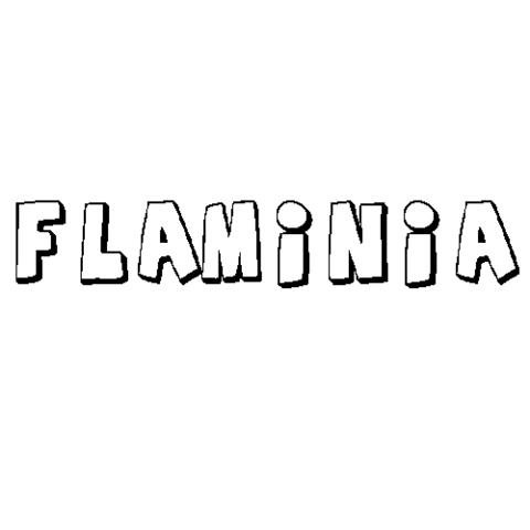 FLAMINIA