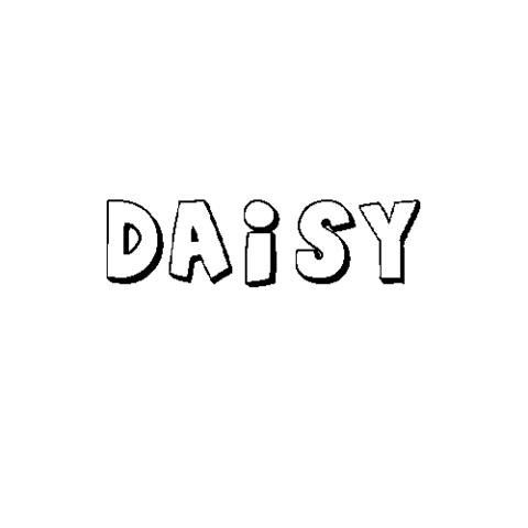 DAISY