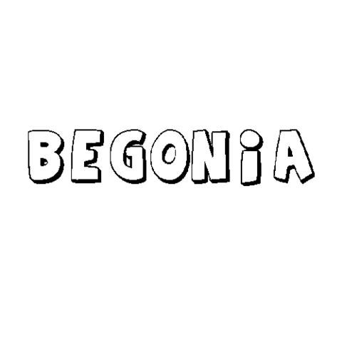 BEGONIA
