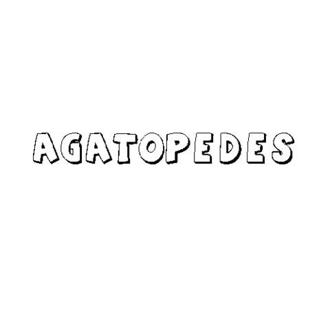 AGATÓPEDES