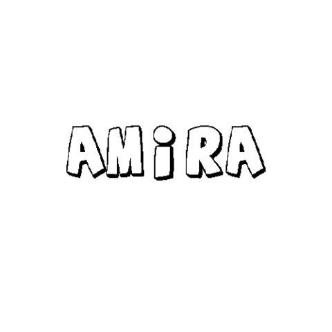 AMIRA 