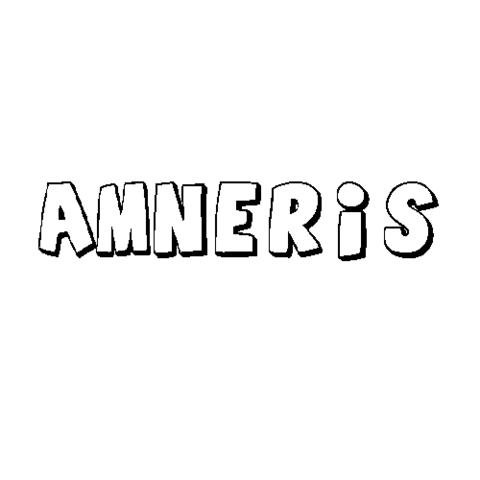 AMNERIS