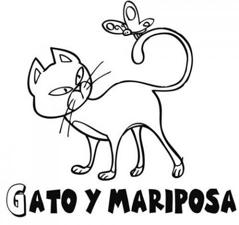 Mariposa y gato