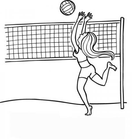 Voleibol