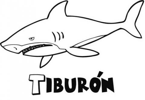 Tiburón