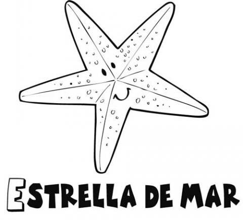 Como Dibujar y Colorear Una Estrella de Mar - Dibujos Faciles Para Niños -  Learn Colors / FunKeepArt 