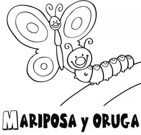 Dibujo de una mariposa y oruga para colorear. Dibujos para niños