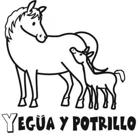 Yegüa y potrillo