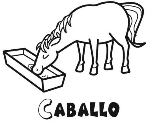 Dibujos de un caballo bebiendo agua para colorear con los niños