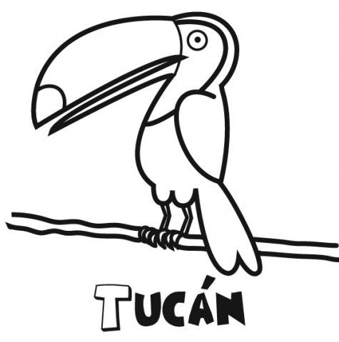 Tucán