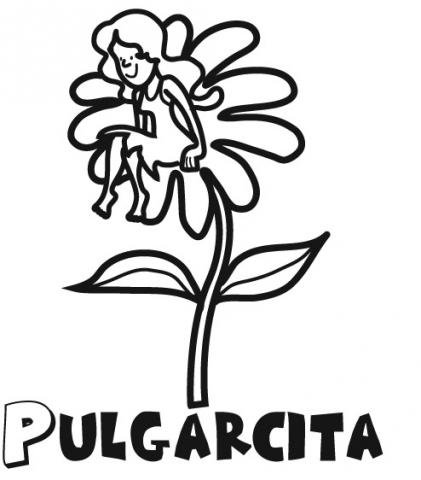 Pulgarcita