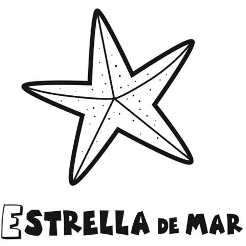 Estrella de Mar: Dibujos para colorear