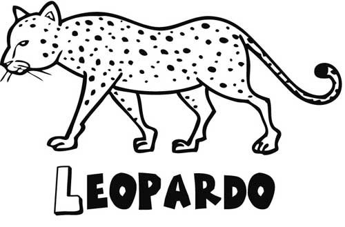 Leopardo