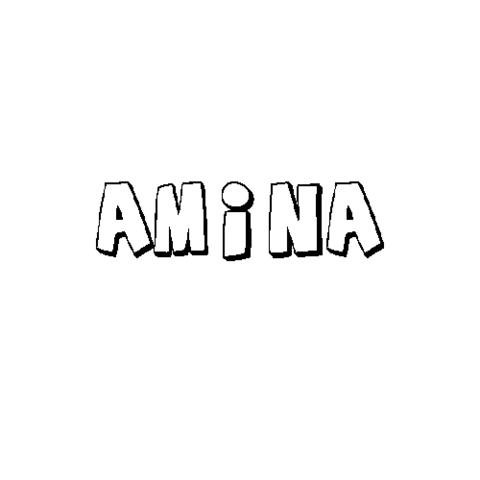 AMINA