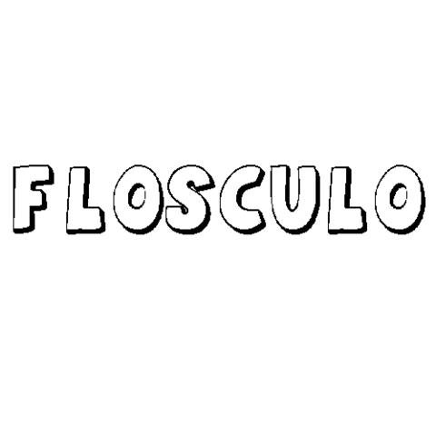 FLÓSCULO