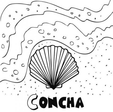 Concha: Dibujos para colorear