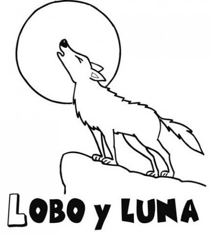 Dibujo de un lobo para colorear. Dibujos de animales para niños