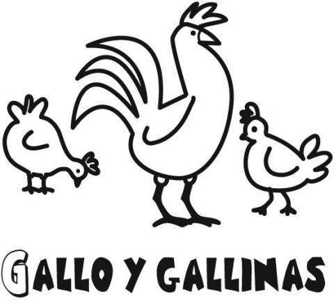 Imagen de gallo y gallinas para colorear