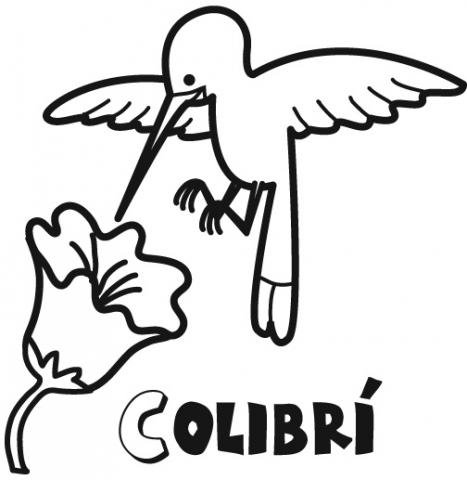 Colibrí para colorear con los niños. Dibujos de pájaros.