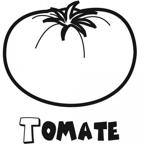 Dibujo de tomate. Imágenes infantiles de fruta y verdura