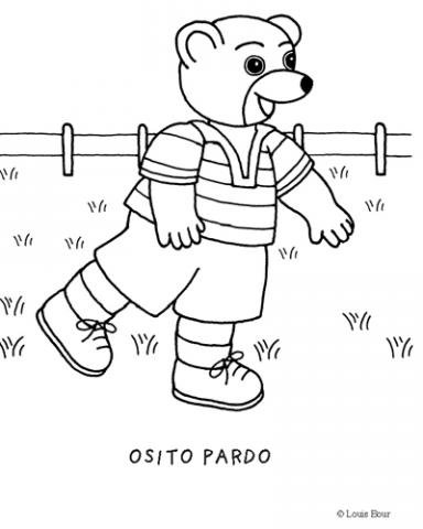 Osito Pardo