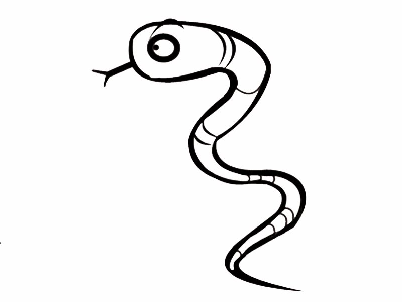 Serpiente de perfil