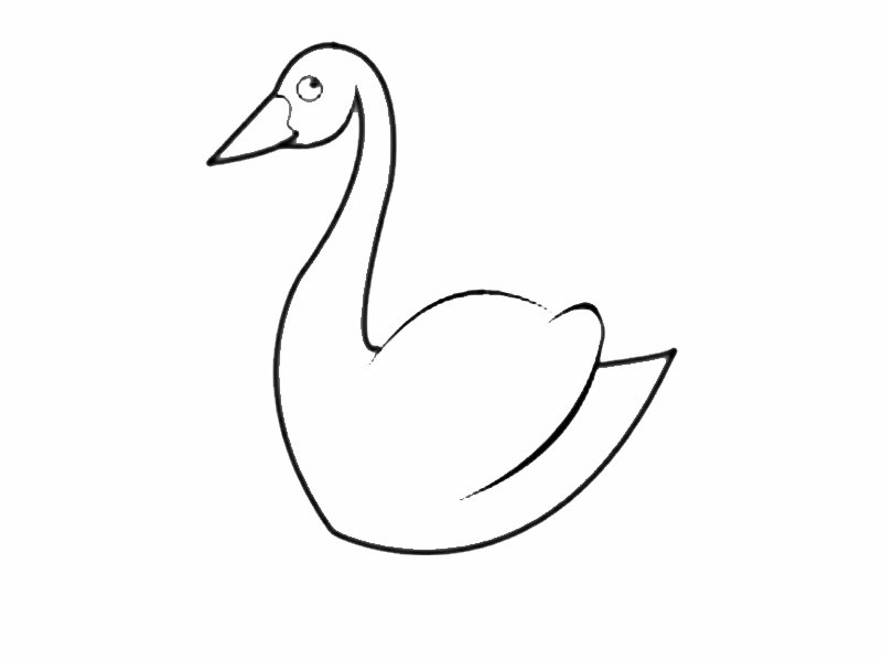 Cisne: Dibujos para colorear