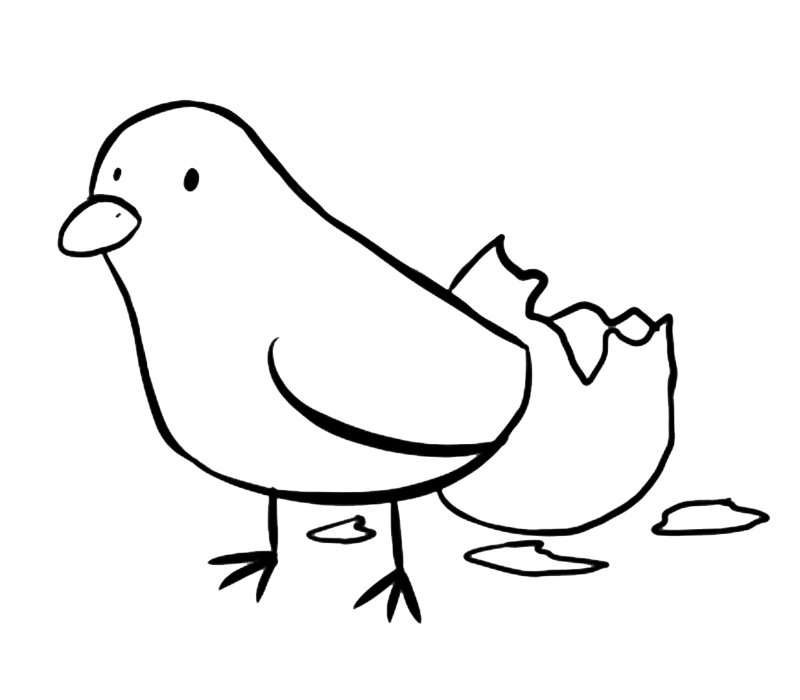 Pollito recién nacido: Dibujos para colorear