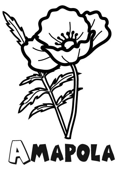 Dibujo para imprimir y colorear de una amapola. Dibujo de flores