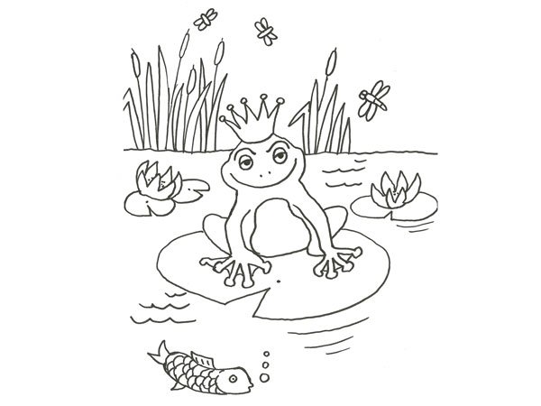 Dibujo de una rana encantada para colorear con niños