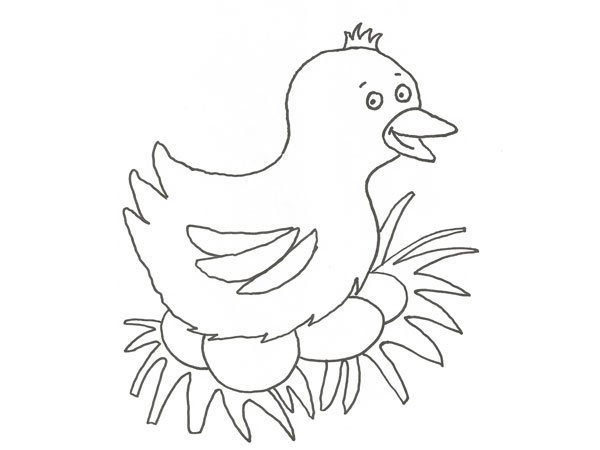 Dibujo de una gallina poniendo huevos para colorear con niños