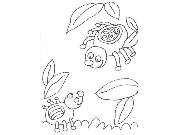Dibujo de una araña para colorear con niños