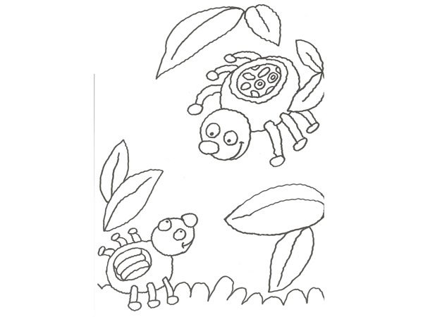 Dibujo de una araña para colorear con niños