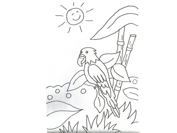 Dibujo de una cacatúa en la selva para colorear con niños