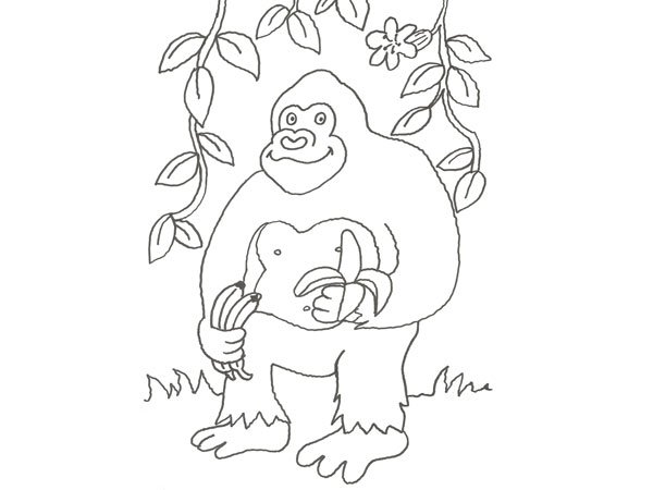 Dibujo de un gorila de la selva para colorear con niños