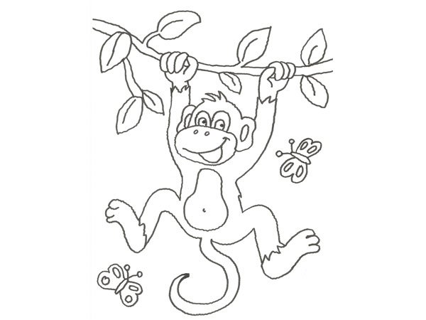 Dibujo de mono y mariposas para pintar con niños