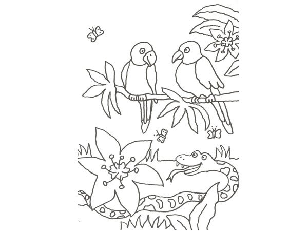 Dibujo de una serpiente y pájaros para colorear con niños