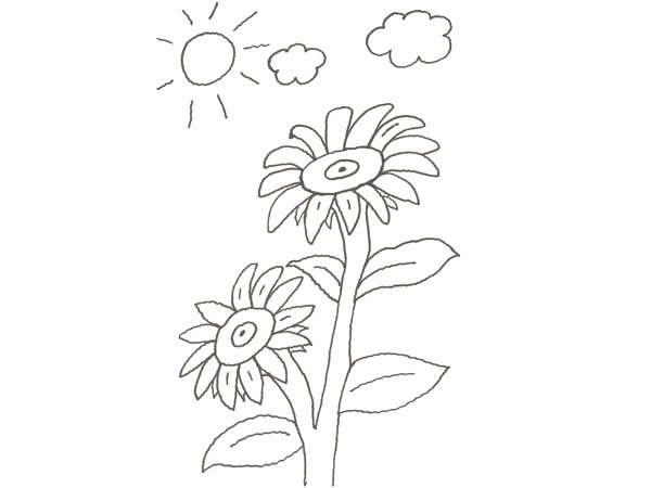 Dibujo de dos flores grandes para colorear con niños