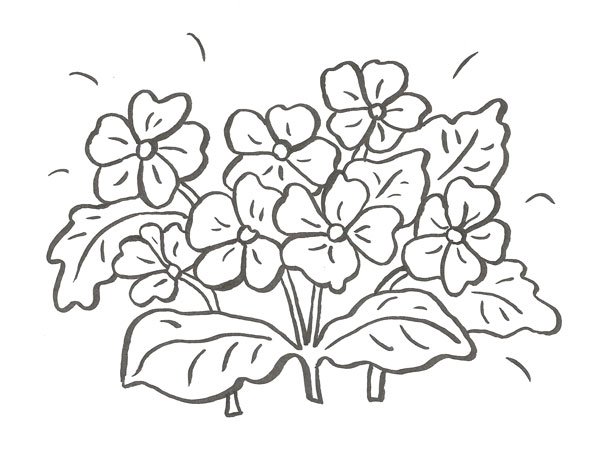 Dibujo de un ramo de flores para colorear con niños