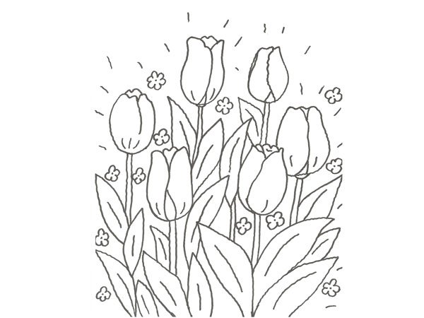 Dibujo de un tulipán para que pinten los niños