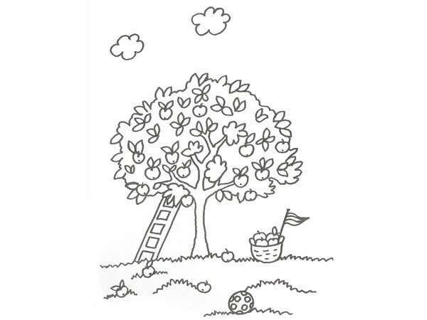 Dibujo de un árbol con manzanas para colorear con niños