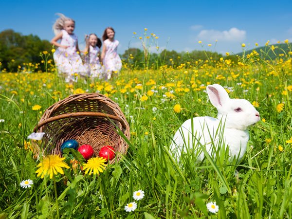 Persiguiendo al conejo de Pascua. Tarjeta virtual para los niños