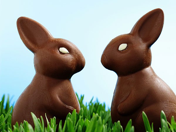 Conejos de Pascua de chocolate. Tarjeta virtual para los niños