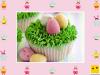 Decoración de muffins de Pascua. Huevos de campo