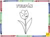 Dibujo para colorear con los niños de un tulipán